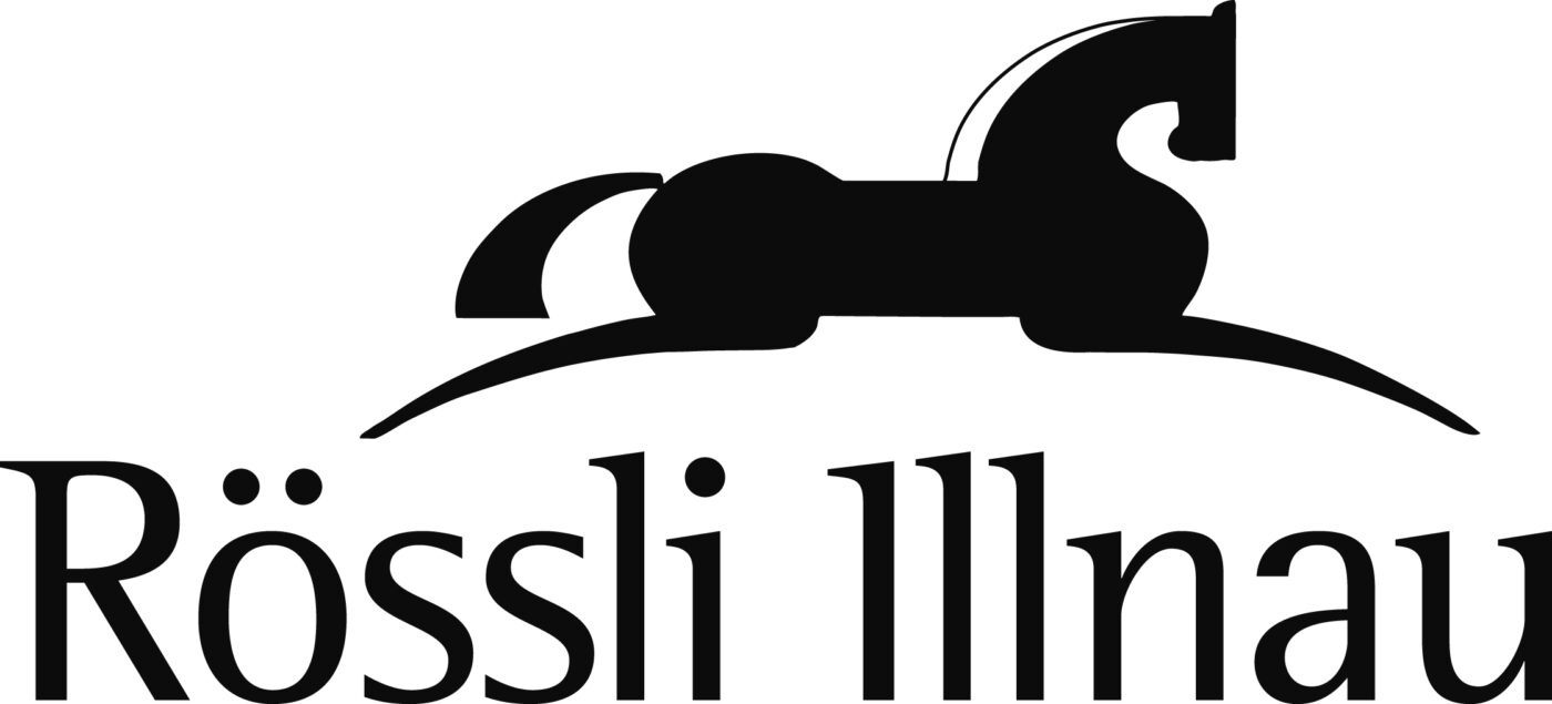 lichtundmusik.ch GmbH